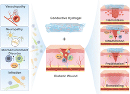 Graphical abstract: Conductive hydrogels as an “innovative healer” for the treatment of diabetic wounds