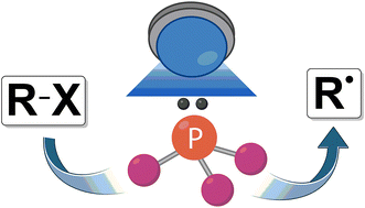 Graphical abstract: Recent advances in visible light-driven phosphine-mediated transformations