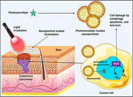 Graphical abstract: Unveiling the potential of photodynamic therapy with nanocarriers as a compelling therapeutic approach for skin cancer treatment: current explorations and insights