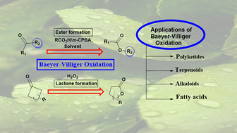 Graphical abstract: Baeyer–Villiger oxidation: a promising tool for the synthesis of natural products: a review