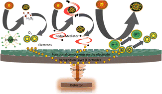 Graphical abstract: Metal-based non-enzymatic systems for cholesterol detection: mechanisms, features, and performance