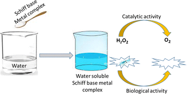 Graphical abstract: Water-soluble Schiff base ligands and metal complexes: an overview considering green solvent