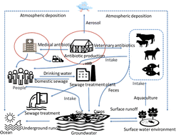 Graphical abstract: Advancements in removing common antibiotics from wastewater using nano zero valent iron