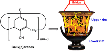 Graphical abstract: Upper rim-bridged calixarenes