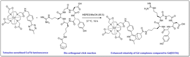 Graphical abstract: Lanthanide–tetrazine probes for bio-imaging and click chemistry