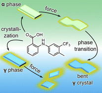 Graphical abstract: Preparation of intrinsically fragile bent crystals