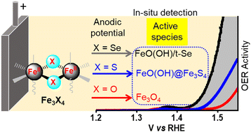Graphical abstract: Mode of electroactive species evolution from Fe3X4 (X = Se, S, O): guidelines from the redox chemistry of chalcogen anions