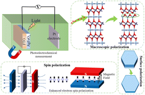 Graphical abstract: Unraveling surface polarization in hydrothermally derived AgFeO2 nanosheets for enhanced photoelectrochemical performance