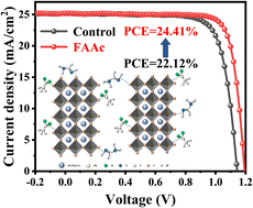 Graphical abstract: Ionic liquid-regulated PbI2 layers and defect passivation for efficient perovskite solar cells