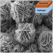 Graphical abstract: Exploring zinc oxide morphologies for aqueous solar cells by a photoelectrochemical, computational, and multivariate approach