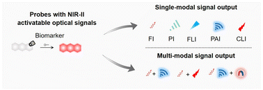 Graphical abstract: Single- and multi-modal molecular probes with second near-infrared activatable optical signals for disease diagnosis and theranostics