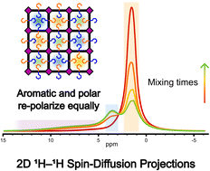 Graphical abstract: Solid-state NMR reveals mixed side-chain organization across pores in amphiphilic covalent organic frameworks