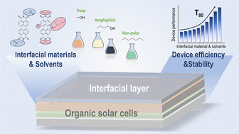 Graphical abstract: Chemical structure and processing solvent of cathode interlayer materials affect organic solar cells performance