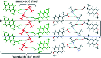 Graphical abstract: Structural insight into cocrystallization with zwitterionic co-formers: cocrystals of S-naproxen