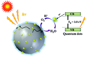 Graphical abstract: Photoluminescent carbon–nitrogen quantum dots as efficient electrocatalysts for oxygen reduction