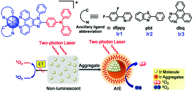 Graphical abstract: Selectively lighting up two-photon photodynamic activity in mitochondria with AIE-active iridium(iii) complexes