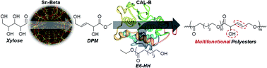 Graphical abstract: Synthesis of a novel polyester building block from pentoses by tin-containing silicates