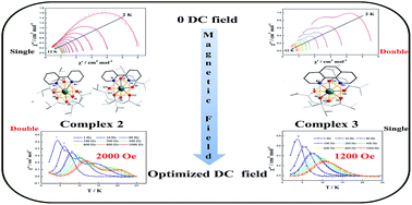 Graphical abstract: Asymmetry-unit-dominated double slow-relaxation modes of 2,6-dimethyl-3,5-heptanedione dysprosium SMMs