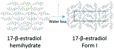 Graphical abstract: The solid state forms of the sex hormone 17-β-estradiol
