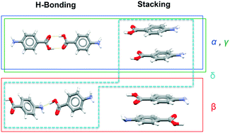 Graphical abstract: Polymorphism in p-aminobenzoic acid