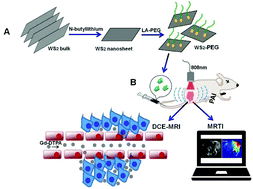 Graphical abstract: Noninvasive magnetic resonance/photoacoustic imaging for photothermal therapy response monitoring