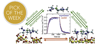 Graphical abstract: A molecular picture of surface interactions of organic compounds on prevalent indoor surfaces: limonene adsorption on SiO2