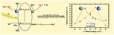 Graphical abstract: Enhancement in the rate of nitrate degradation on Au- and Ag-decorated TiO2 photocatalysts