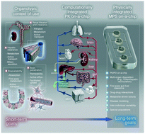 Graphical abstract: Microphysiological systems for ADME-related applications: current status and recommendations for system development and characterization