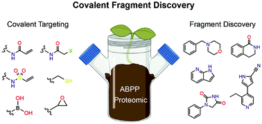 Graphical abstract: Fragment-based covalent ligand discovery
