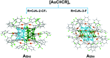 Graphical abstract: Homoleptic alkynyl-protected gold nanoclusters with unusual compositions and structures