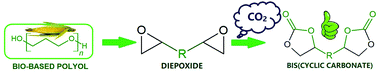 Graphical abstract: Synthesis and structural characterization of bio-based bis(cyclic carbonate)s for the preparation of non-isocyanate polyurethanes