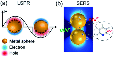 Graphical abstract: Surface-enhanced Raman spectroscopy: benefits, trade-offs and future developments