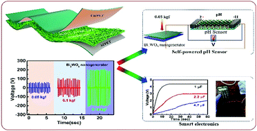 Graphical abstract: An ultra high performance, lead-free Bi2WO6:P(VDF-TrFE)-based triboelectric nanogenerator for self-powered sensors and smart electronic applications