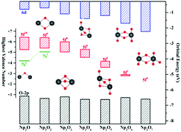 Graphical abstract: Unprecedented neptunyl(v) cation-directed structural variations in Np2Ox compounds