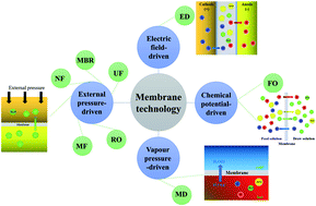 Graphical abstract: Membrane technologies in toilet urine treatment for toilet urine resource utilization: a review