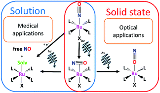 Graphical abstract: Ruthenium-nitrosyl complexes as NO-releasing molecules, potential anticancer drugs, and photoswitches based on linkage isomerism