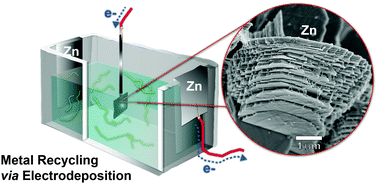 Graphical abstract: Cellulose-assisted electrodeposition of zinc for morphological control in battery metal recycling