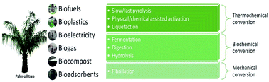 Graphical abstract: Emerging technologies for value-added use of oil palm biomass