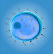 Graphical abstract: Long non-coding RNA (lncRNA) MALAT1 in regulating osteogenic and adipogenic differentiation using a double-stranded gapmer locked nucleic acid nanobiosensor