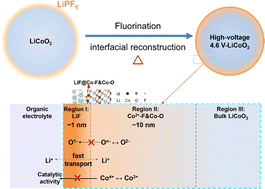 Graphical abstract: Ultrathin dense LiF coverage coupled with a near-surface gradient fluorination lattice enables fast-charging long-life 4.6 V LiCoO2