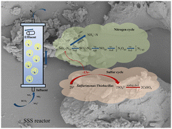 Graphical abstract: Treatment of nitrate-contaminated groundwater using microbially enhanced permeable reactive barrier technology