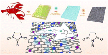 Graphical abstract: Preparation of reusable copper-based biomass-carbon aerogel catalysts and their application in highly selective reduction of maleimides to succinimides with hydrosilane as a hydrogen source