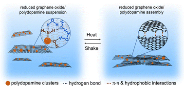 Graphical abstract: Supramolecular temperature responsive assembly of polydopamine reduced graphene oxide