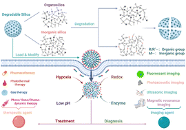 Graphical abstract: Tumor microenvironment-responsive degradable silica nanoparticles: design principles and precision theranostic applications