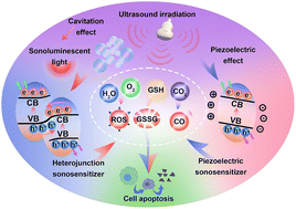 Graphical abstract: Sonocatalytic cancer therapy: theories, advanced catalysts and system design