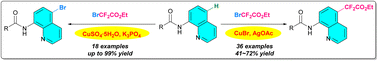 Graphical abstract: Copper-catalyzed selective C5-H bromination and difluoromethylation of 8-aminoquinoline amides using ethyl bromodifluoroacetate as the bifunctional reagent
