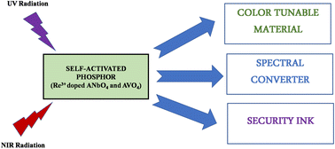 Graphical abstract: Photoluminescence behavior of rare earth doped self-activated phosphors (i.e. niobate and vanadate) and their applications