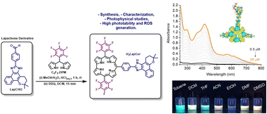 Graphical abstract: First report of trans-A2B-corrole derived from a lapachone derivative: photophysical, TD-DFT and photobiological assays