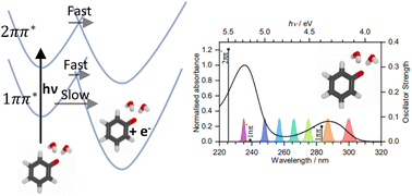 Graphical abstract: Wavelength dependent mechanism of phenolate photooxidation in aqueous solution