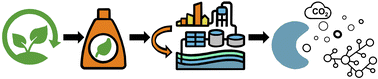 Graphical abstract: Sustainable formulation polymers for home, beauty and personal care: challenges and opportunities